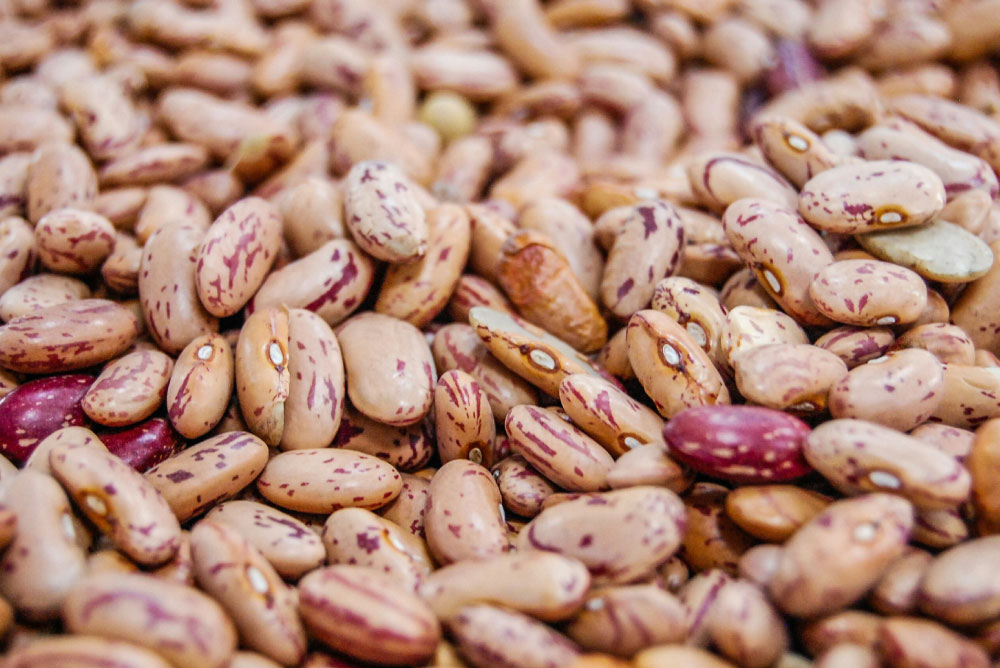 Embolsado de frijoles Envasadoras Automáticas para Granos Embolsado de frijoles